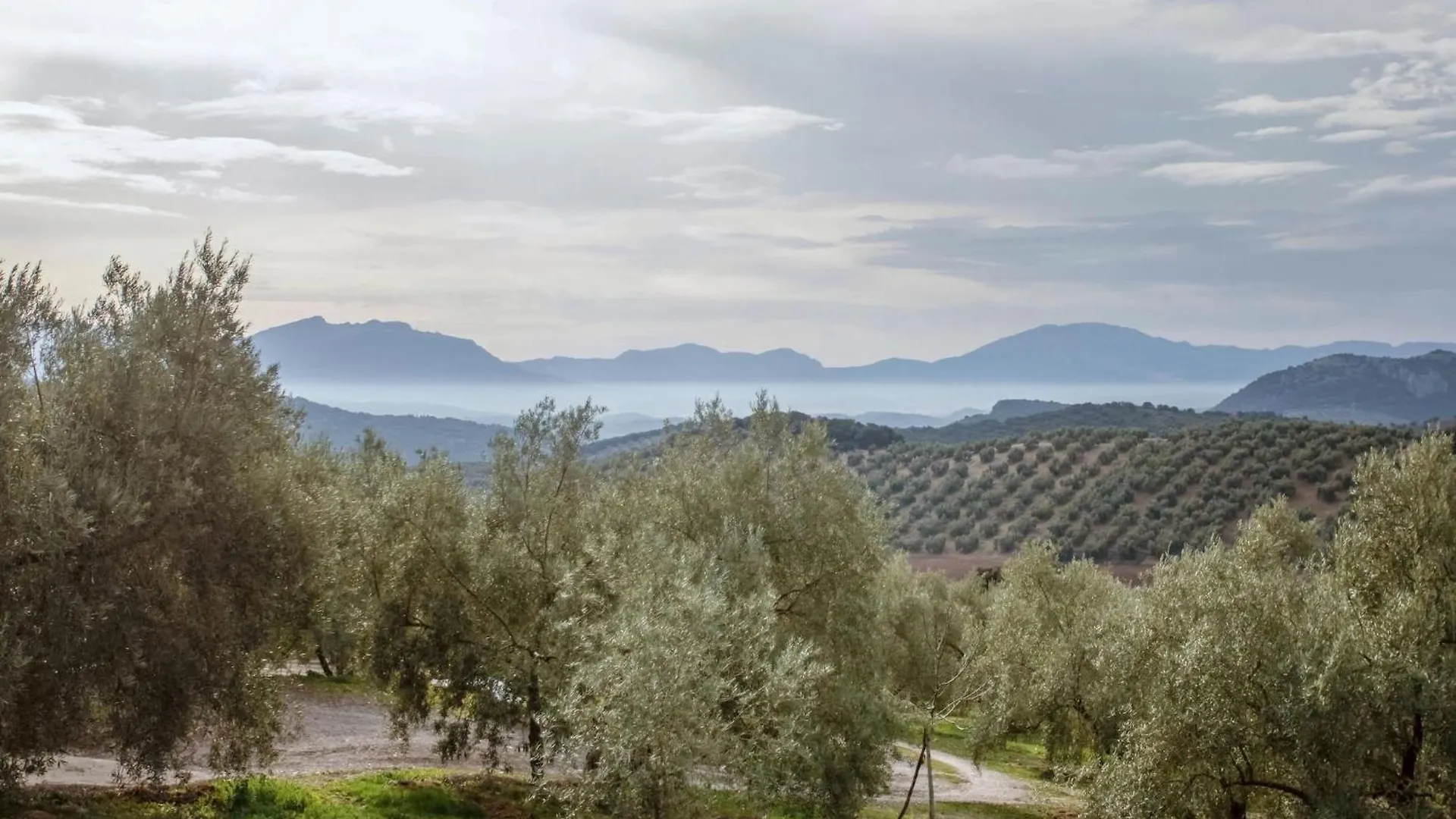 Cosy Holiday Home In Villanueva De Tapia With Garden 0*,