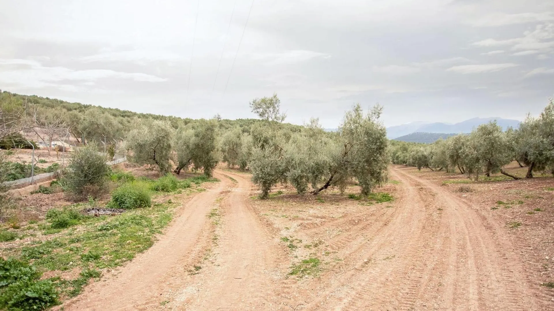Cosy Holiday Home In Villanueva De Tapia With Garden